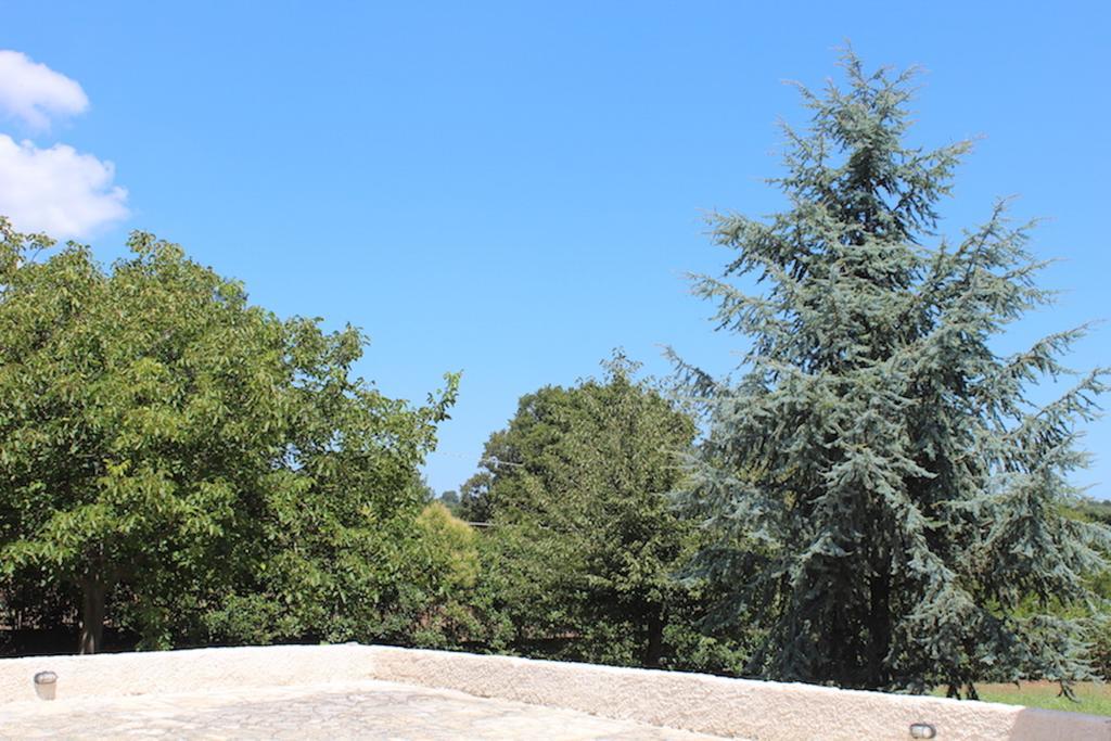 Villa Apollonia B&B Monopoli Bagian luar foto