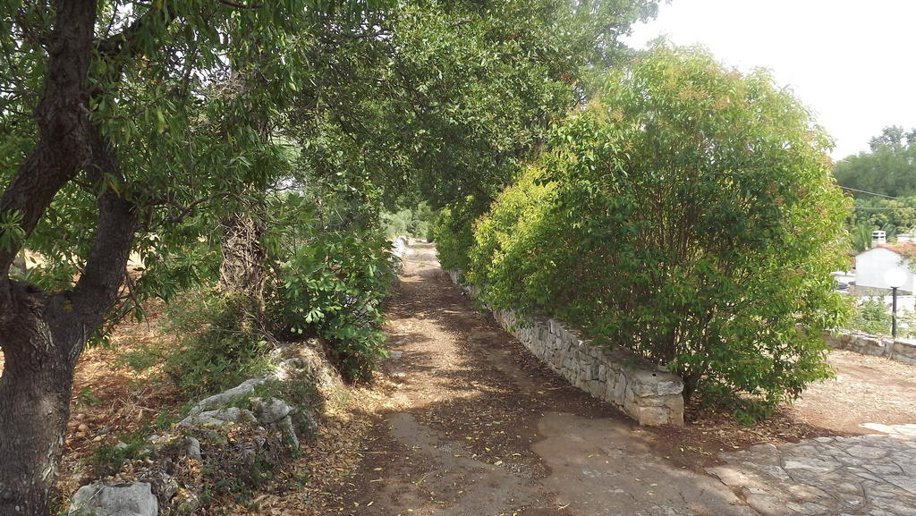 Villa Apollonia B&B Monopoli Bagian luar foto